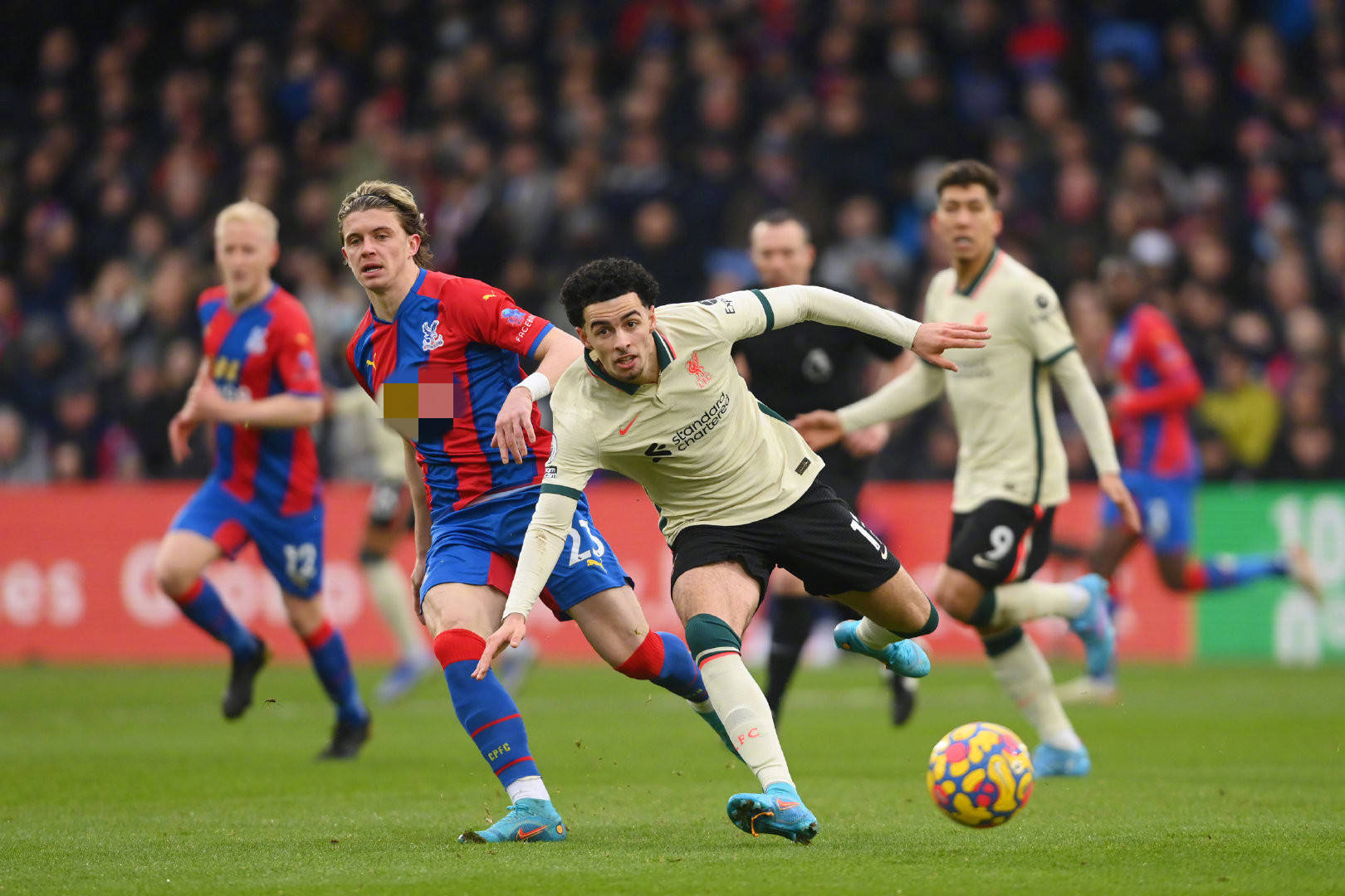 是身体上的 是身体上的